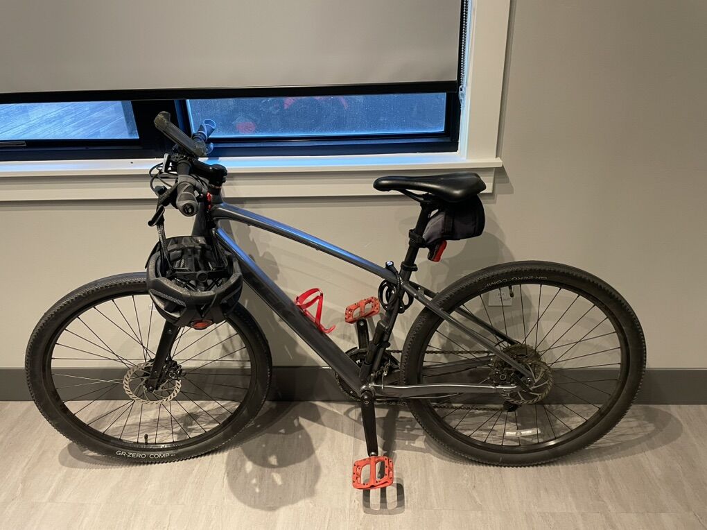 Trek Dual Sport - 2023