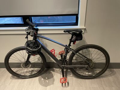 Trek Dual Sport - 2023