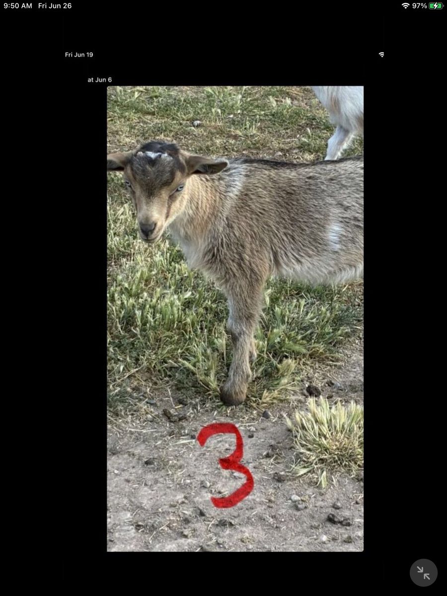 Main image 3