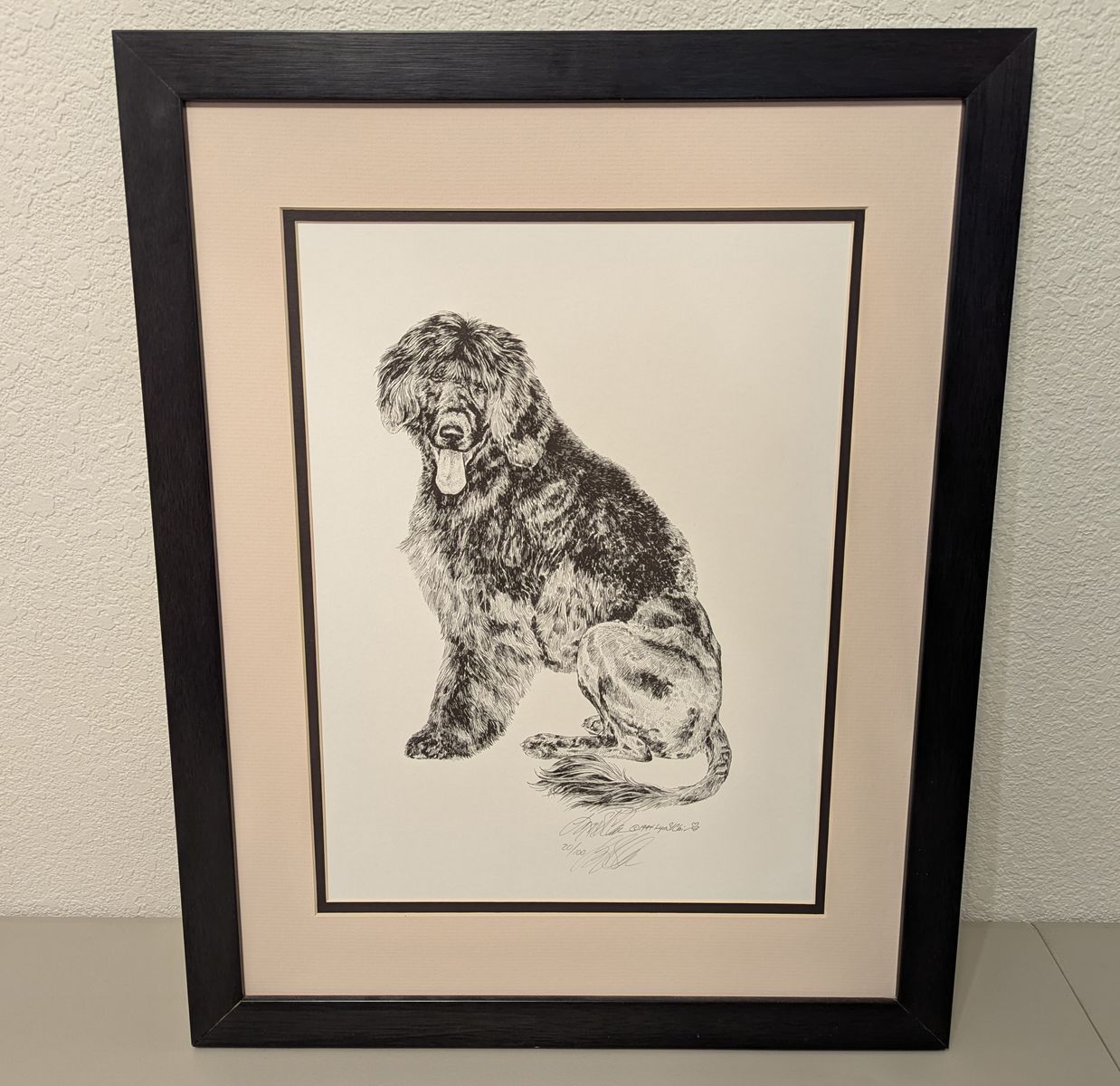 newfoundland dog etched print