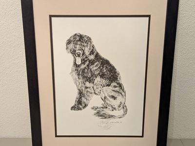 newfoundland dog etched print