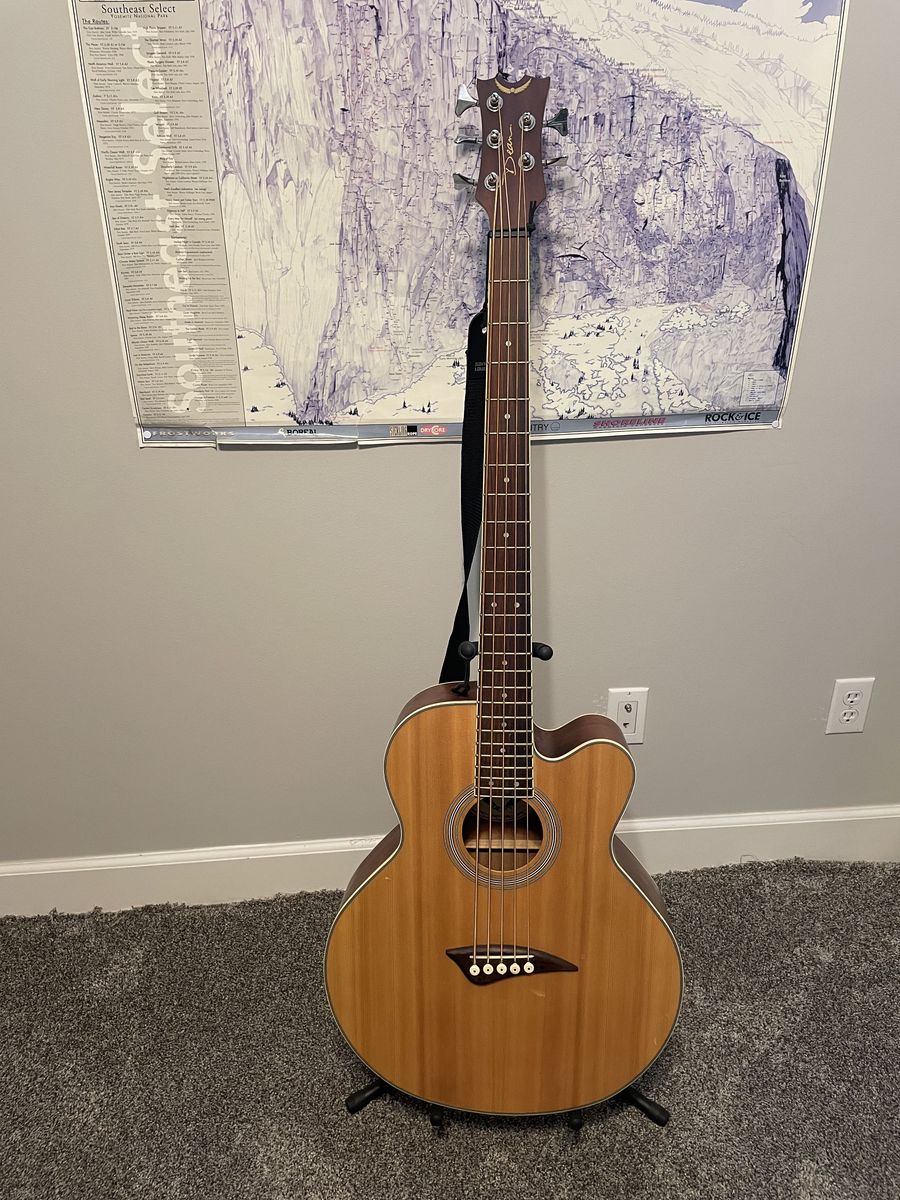 5 String Acoustic Bass Guitar