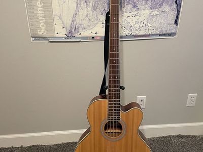 5 String Acoustic Bass Guitar