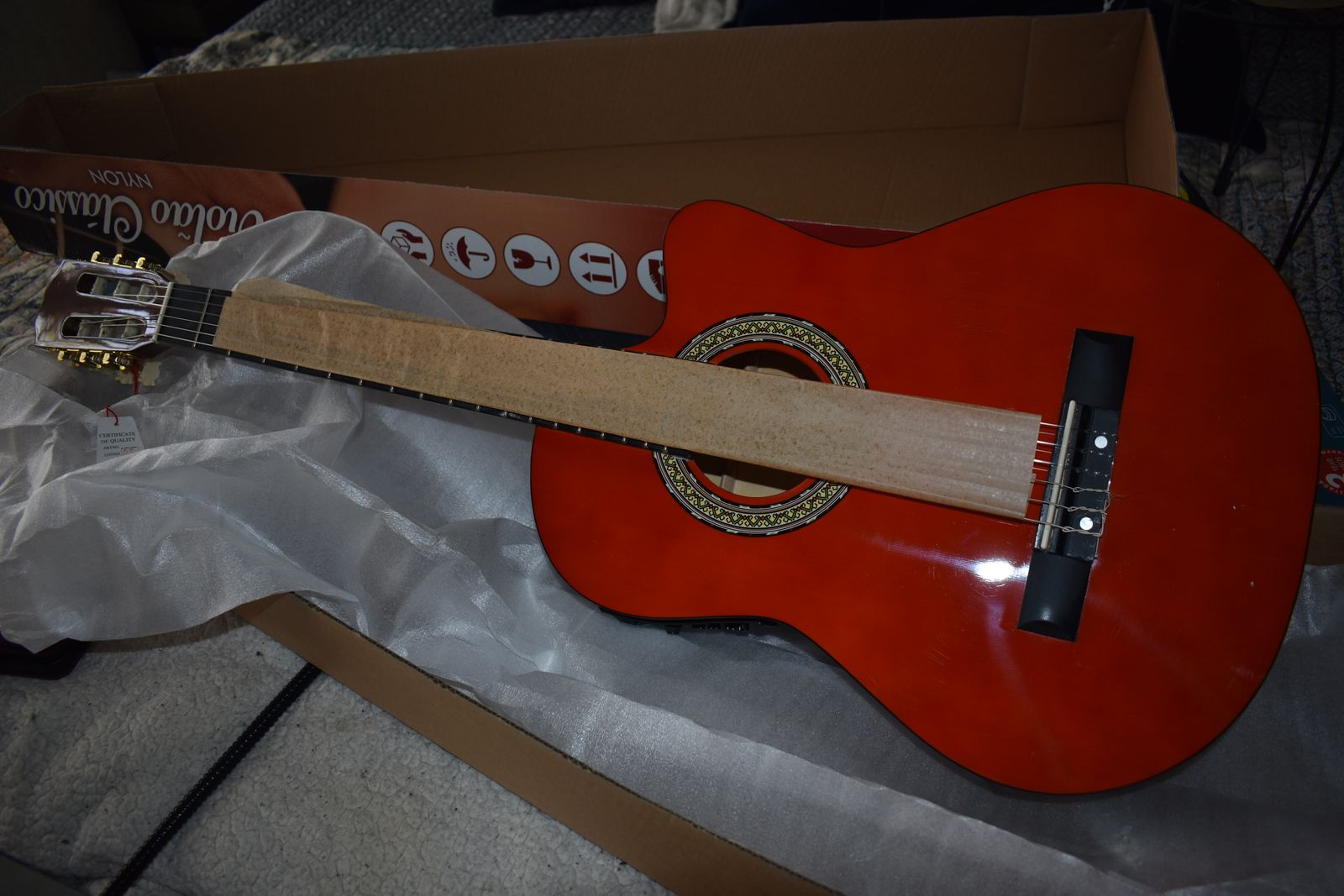 Acoustic Electric Guitar