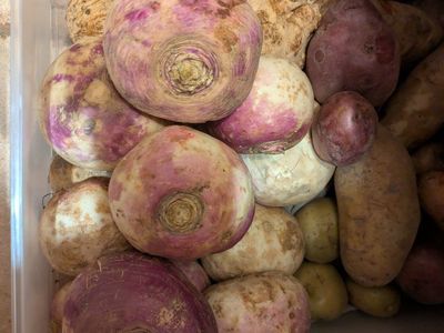 turnips and celery root