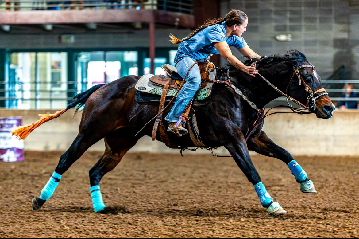Let’s deal 2013 AQHA barrel racing & 4-H mare
