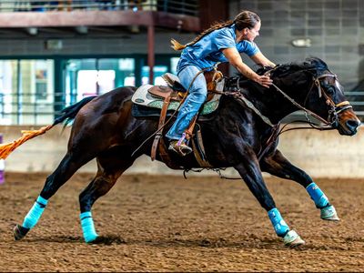 Let’s deal 2013 AQHA barrel racing & 4-H mare