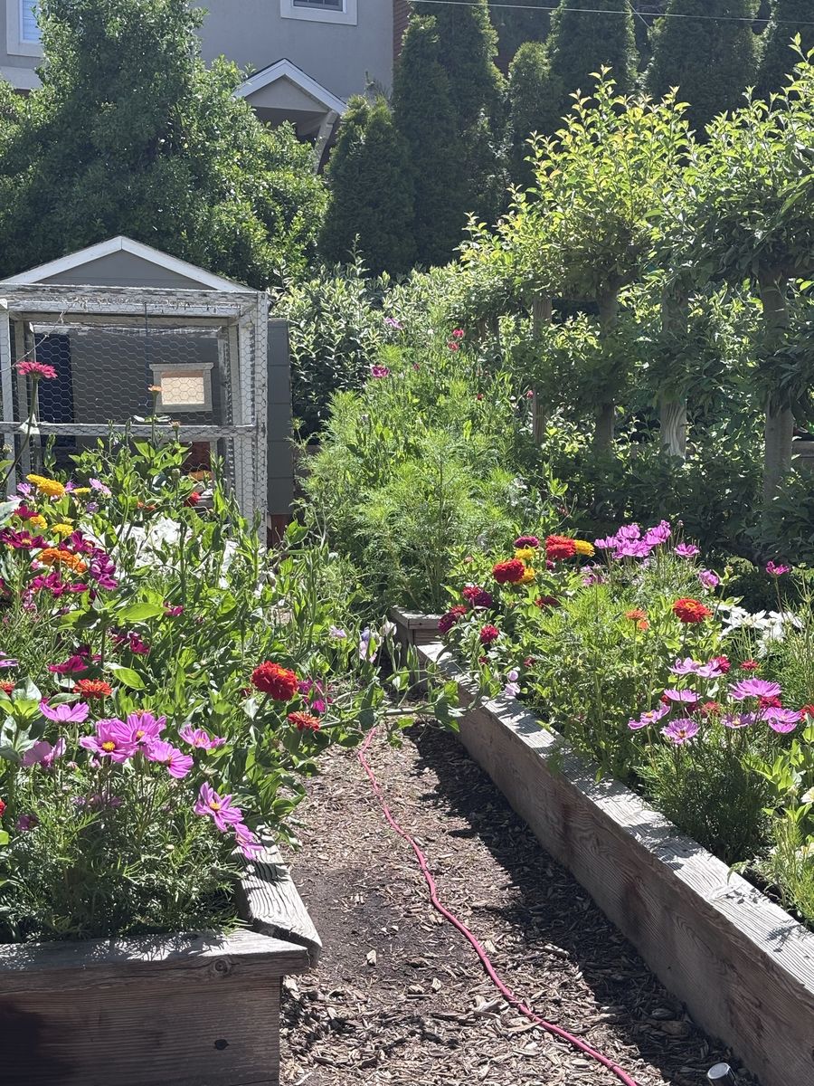 Main image 11