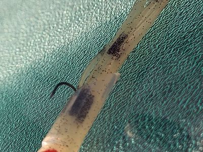 4" 1/8 oz tube jig