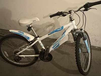 Kid’s Novara Bike