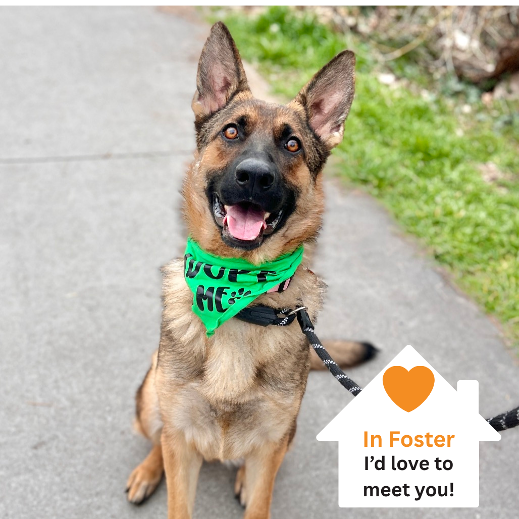 Hello my name is Ladybug