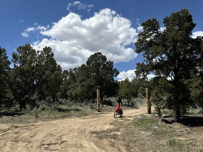 Beautiful 5 acre property in Fruitland Utah