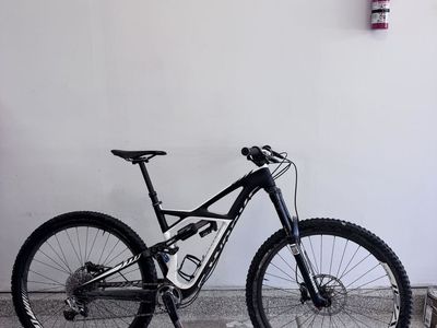 2017 Specialized Enduro S-Works Mountainbike