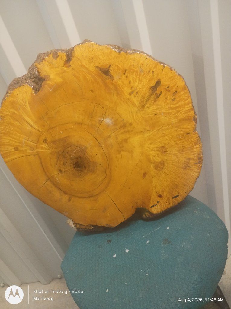 Natural Live Edge Wood Slice Slab with Finished Top box elder