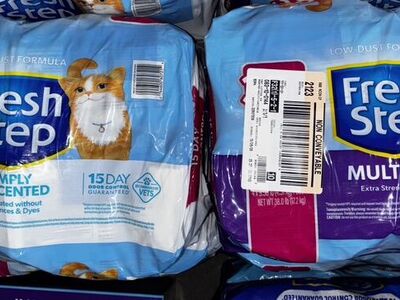Kitty Litter