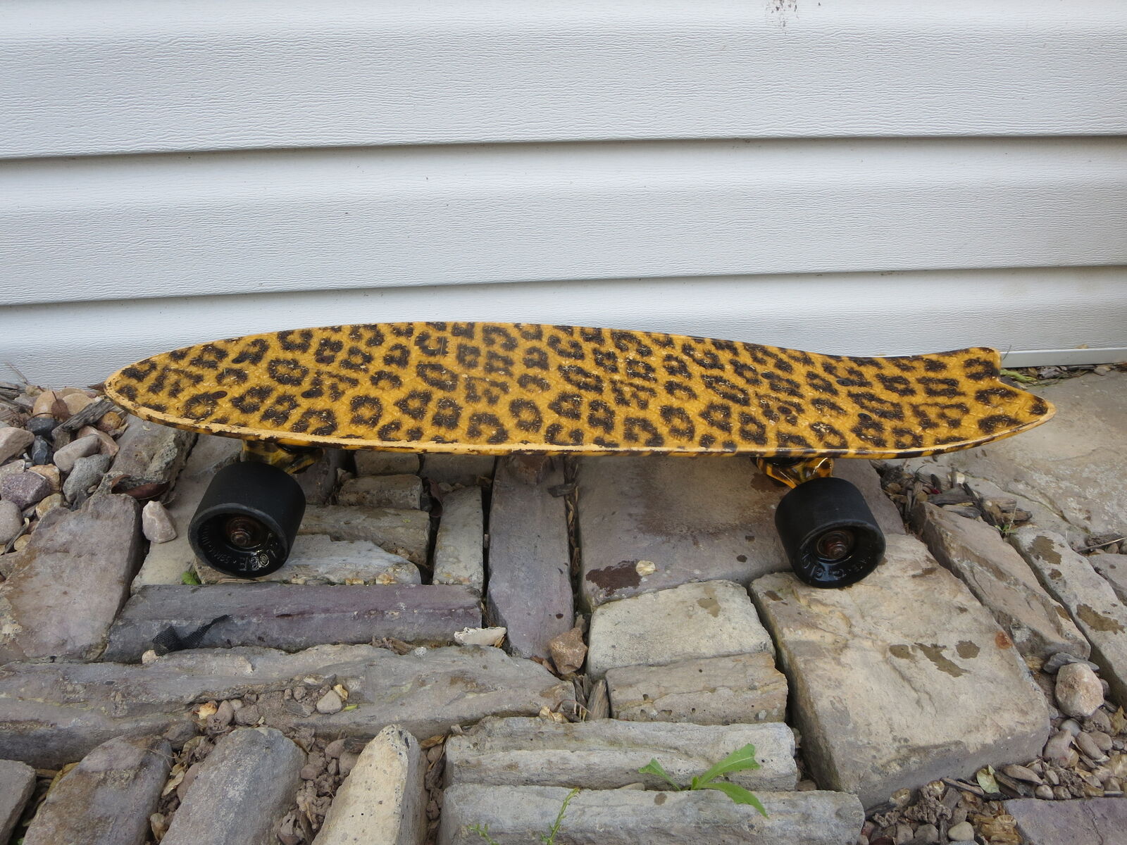 Vintage Globe penny board leopard grafic