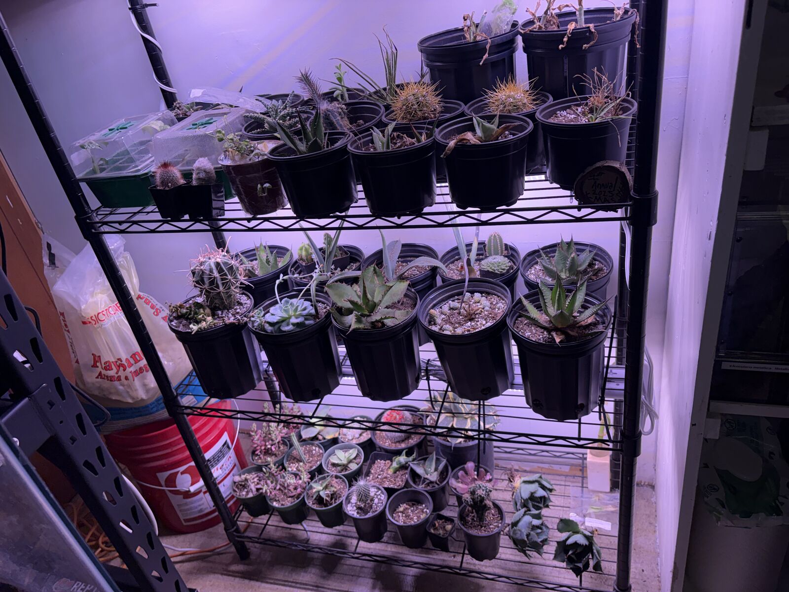 Plants plants Plants