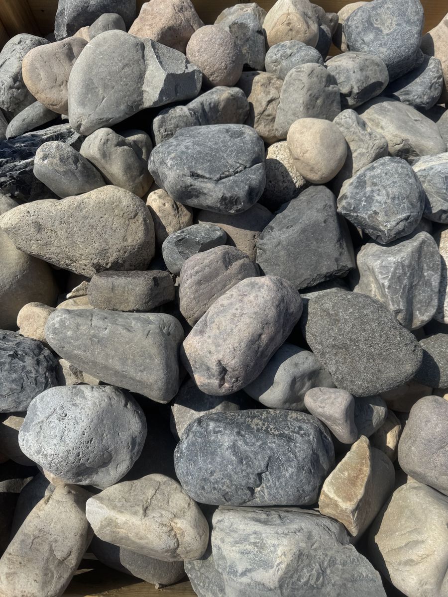 Main image 7