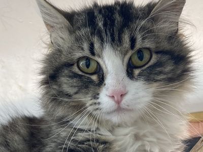 Hello my name is Bess