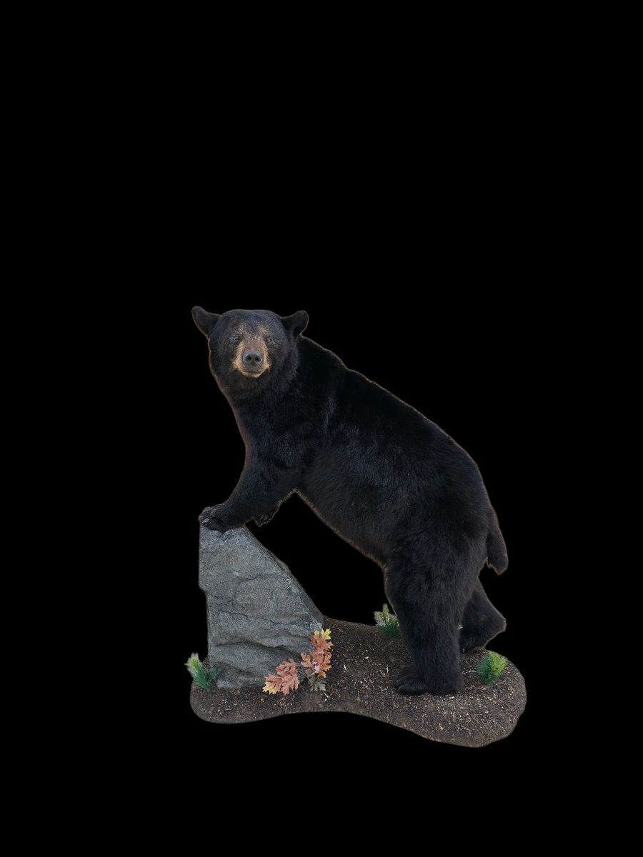 Main image 3