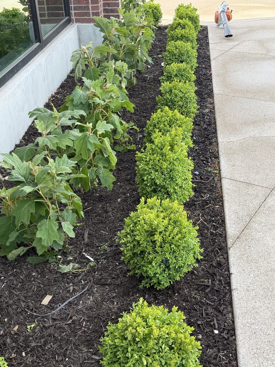 Sprinkler repairs sprinklers systems yard maintenance mulch gravel topsoil grass pavers all for you yard call or text 8017186608