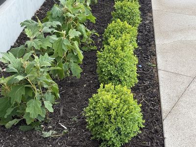 Sprinkler repairs sprinklers systems yard maintenance mulch gravel topsoil grass pavers all for you yard call or text 8017186608