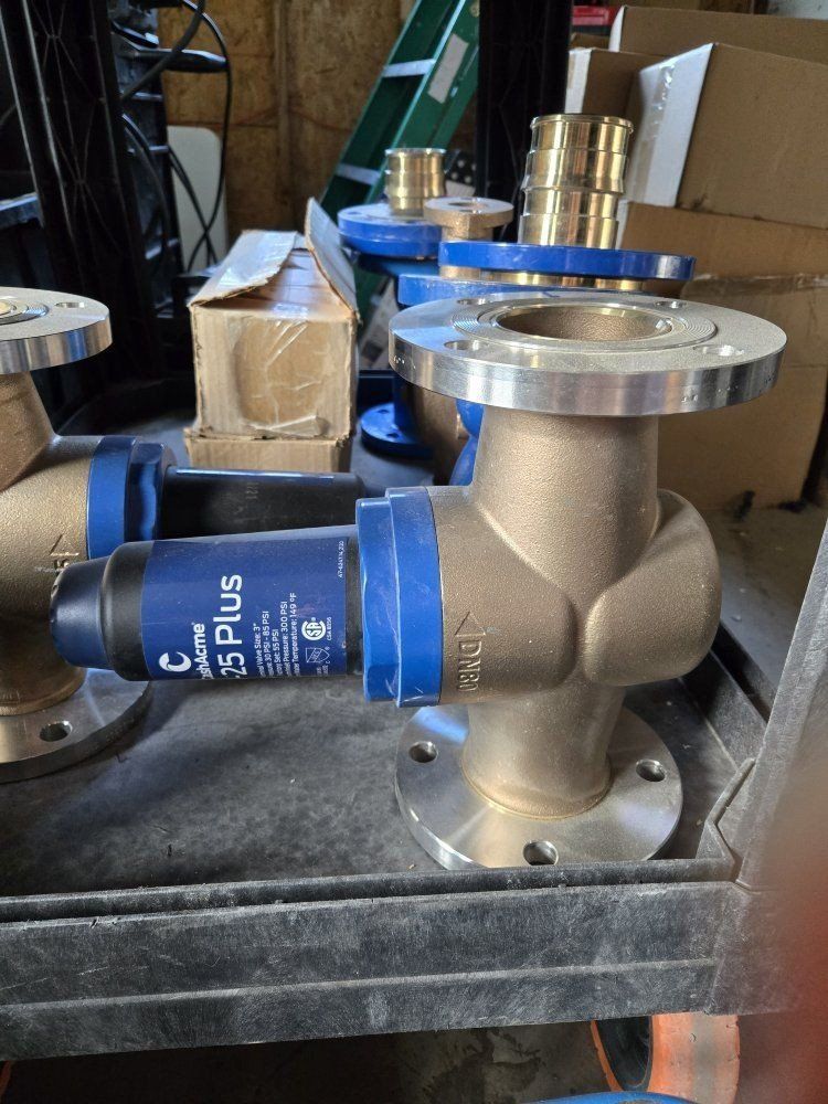 Cash Acme EB25 Plus 3-Inch Flanged Pressure Regulating Valve