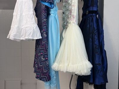 Dresses and skirt Girl Size 6x-7 - 5 items total