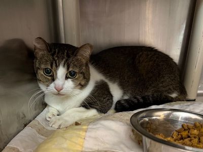 Hello my name is Estelle