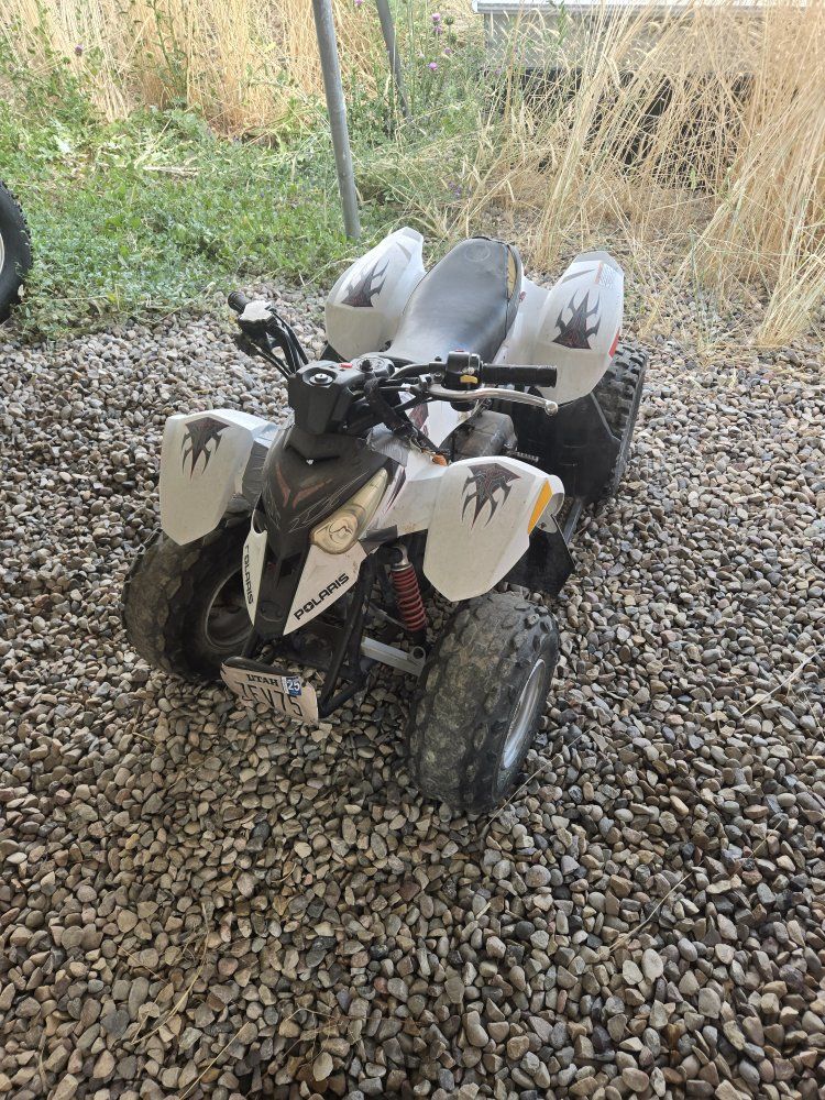 polaris predator 50