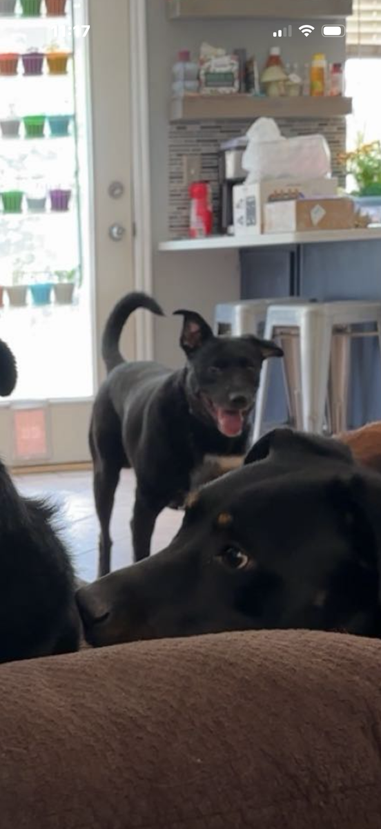 Seeking Experienced, Loving Home Medically Complex Sweet Boy (Almost 4 Years Old)