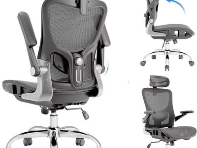 Ergonomic Mesh Office Chair with Adjustable Headrest and Lumbar Support - Swivel, Black/Silver