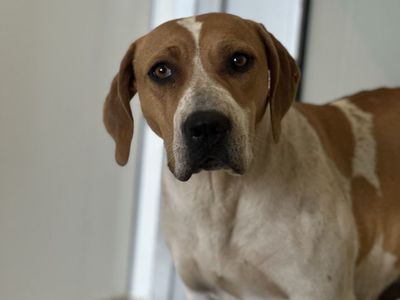 Hello my name is Daisy
