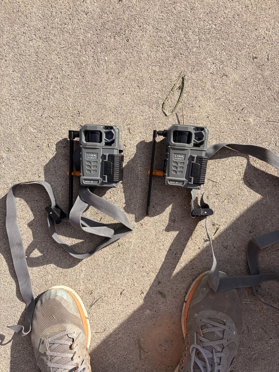 2 SPYPOINT LINK-MICRO-LTE Cellular Trail Cameras
