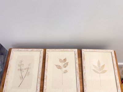 Framed Pressed Flower Art