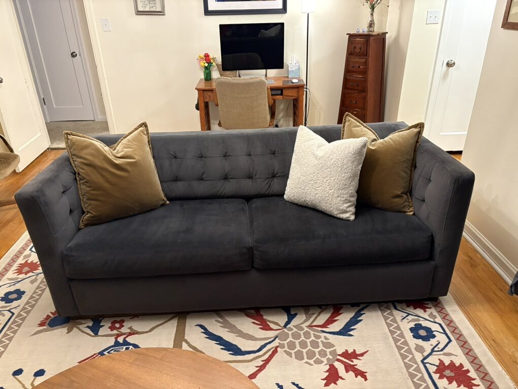 Blue Couch And Swivel Chair