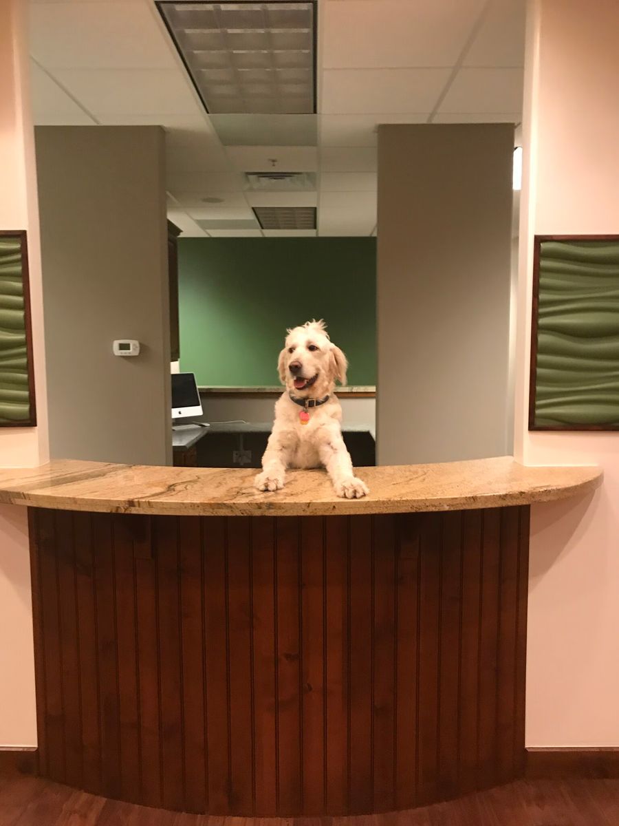 Gorgeous Turnkey Medical Office - Millcreek Medical Arts - 4465 S 900 E