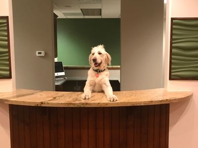 Gorgeous Turnkey Medical Office - Millcreek Medical Arts - 4465 S 900 E