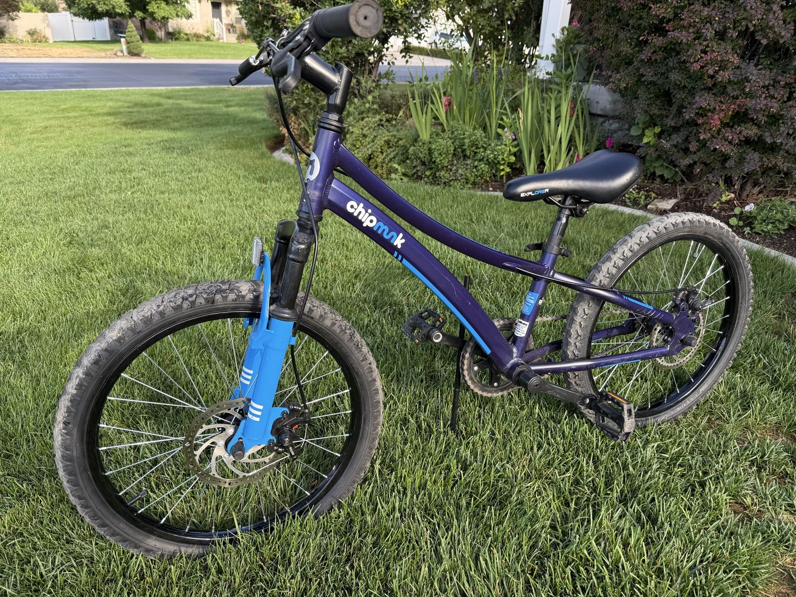 Chipmunk Bike - 20” Wheel