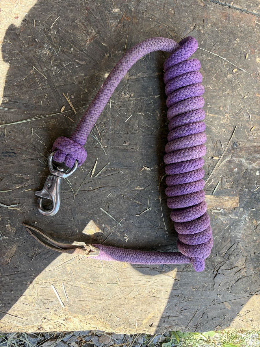 Tack room clean out