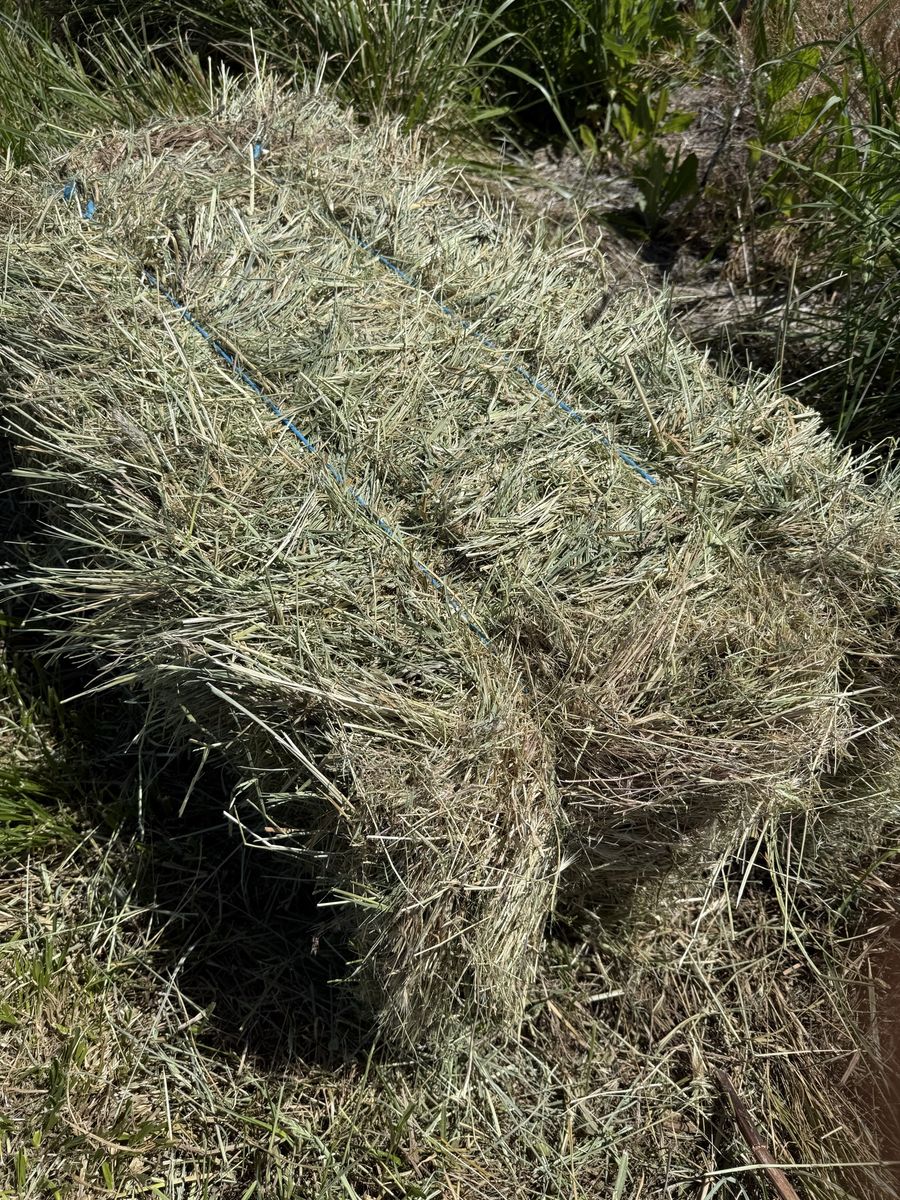 Grass/Alfalfa Mix Hay