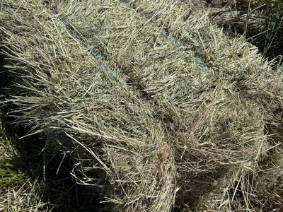 Grass/Alfalfa Mix Hay