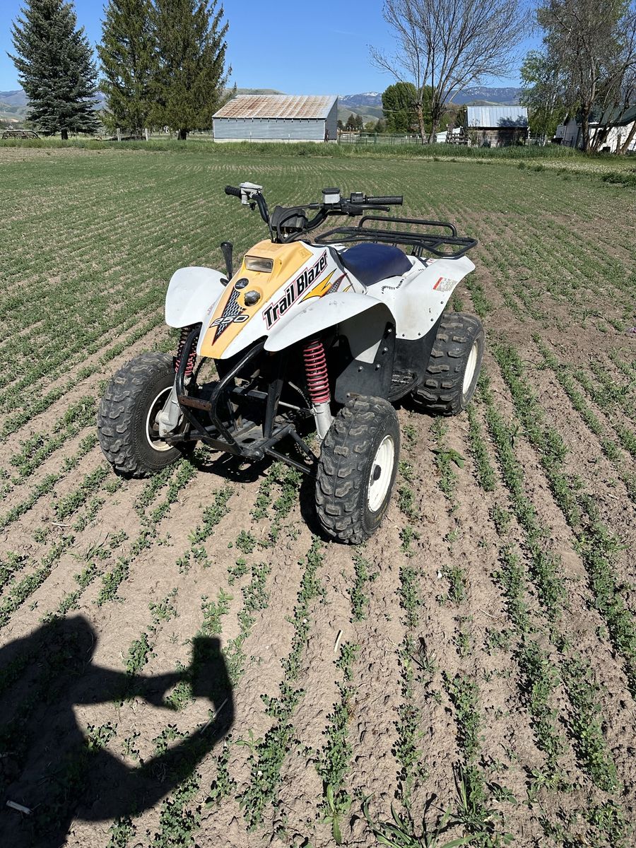 2001 Polaris Trailblazer 250
