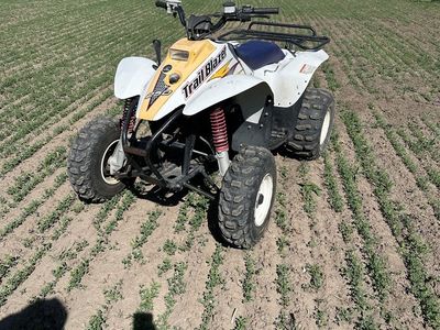 2001 Polaris Trailblazer 250