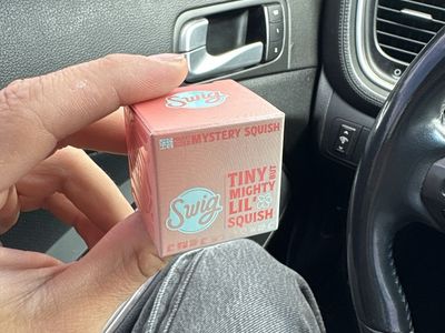 SWIG- SQUISH