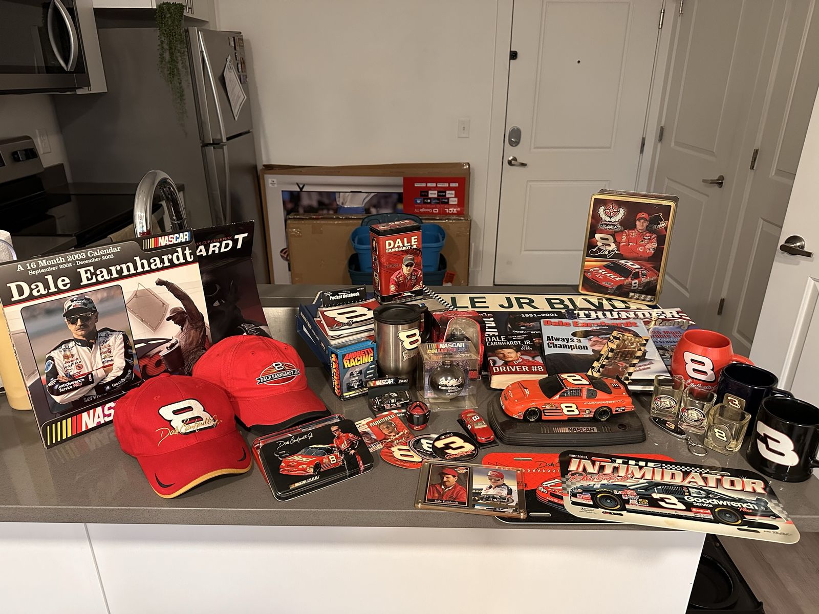 Large Dale Earnhardt Jr. NASCAR Memorabilia Collection - Diecast, Apparel, Books, & More