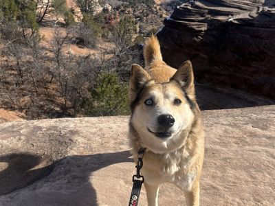 Hello my name is Abby Cadabby