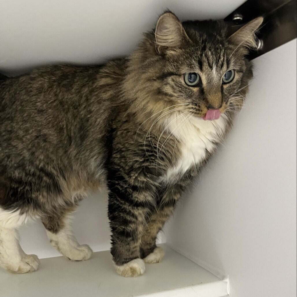 Hello my name is Blanche