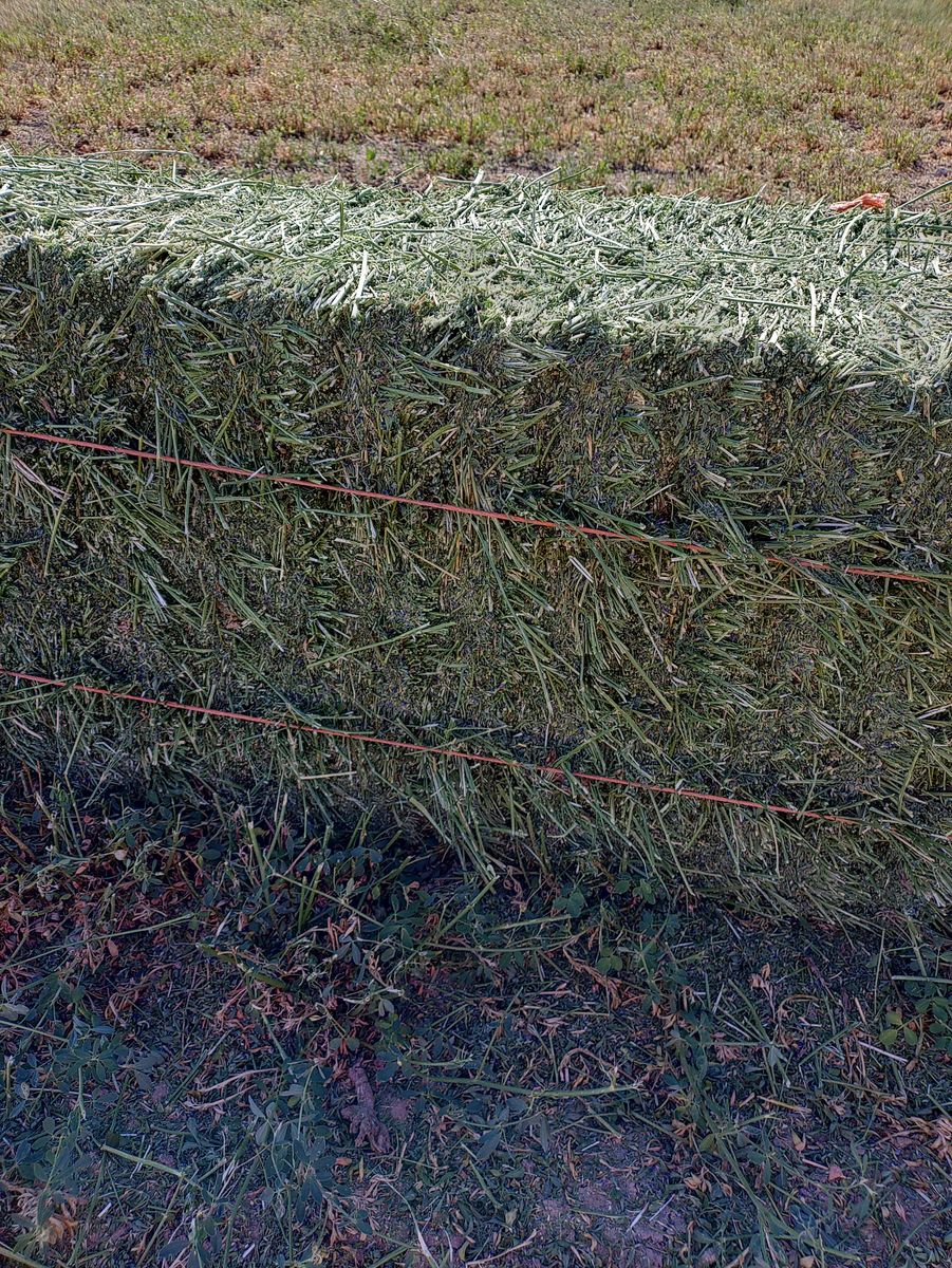 Main image 3