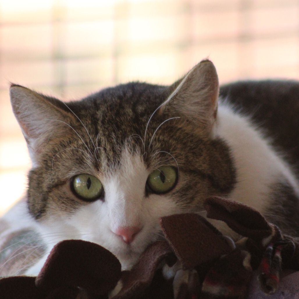 Hello my name is Sumsy